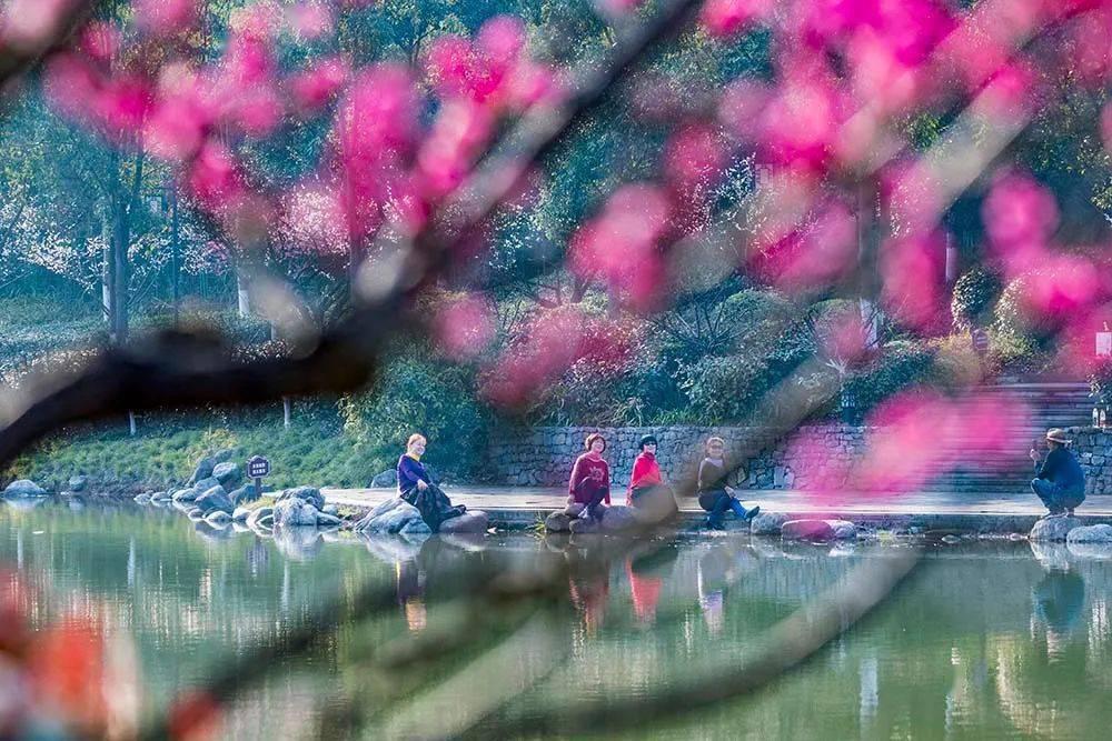 逃出林中村